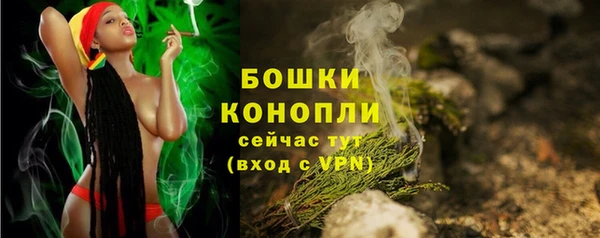 прущий лед Богородицк