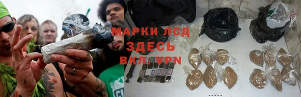 винт Богданович