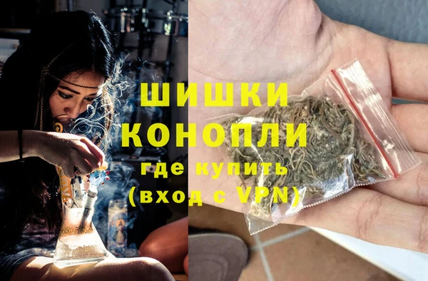винт Богданович