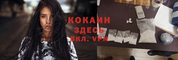 винт Богданович