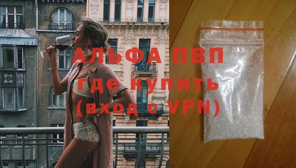 винт Богданович