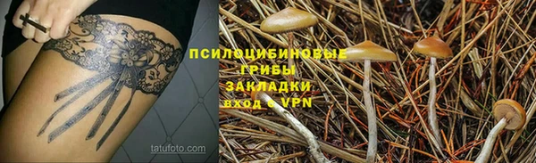 прущий лед Богородицк