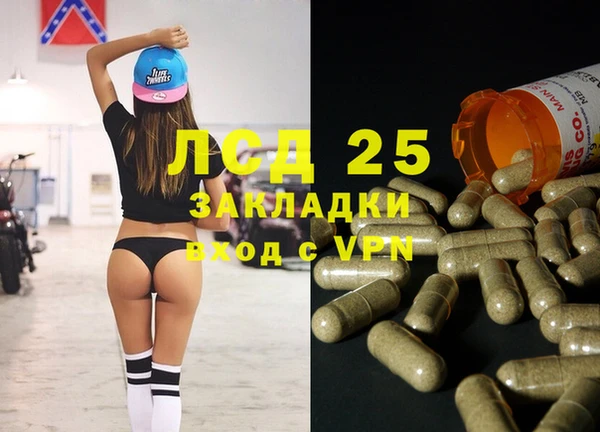 винт Богданович