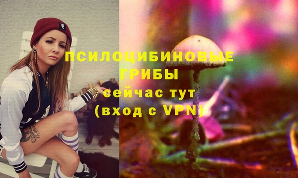 прущий лед Богородицк