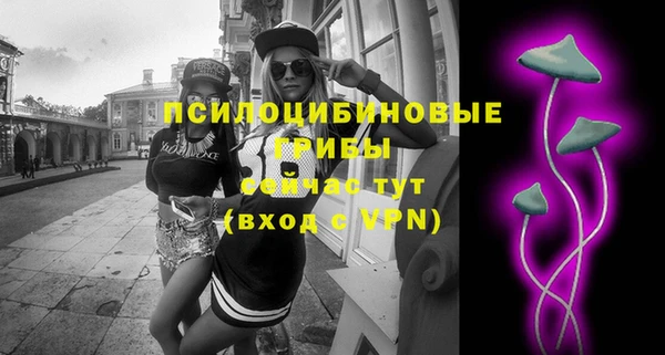 прущий лед Богородицк