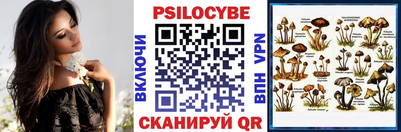 Галлюциногенные грибы GOLDEN TEACHER  Кола 