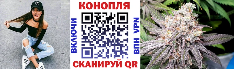 где купить   Кола  Бошки Шишки тримм 